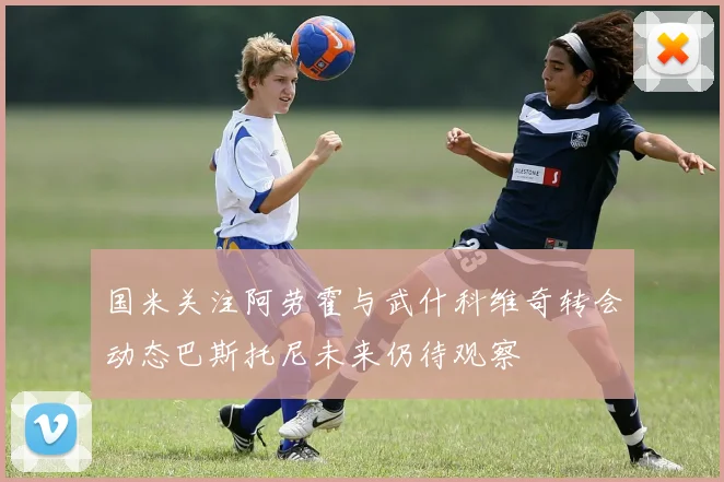 国米关注阿劳霍与武什科维奇转会动态巴斯托尼未来仍待观察
